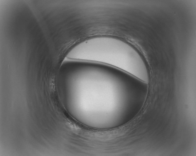 X0000060790017200511101046