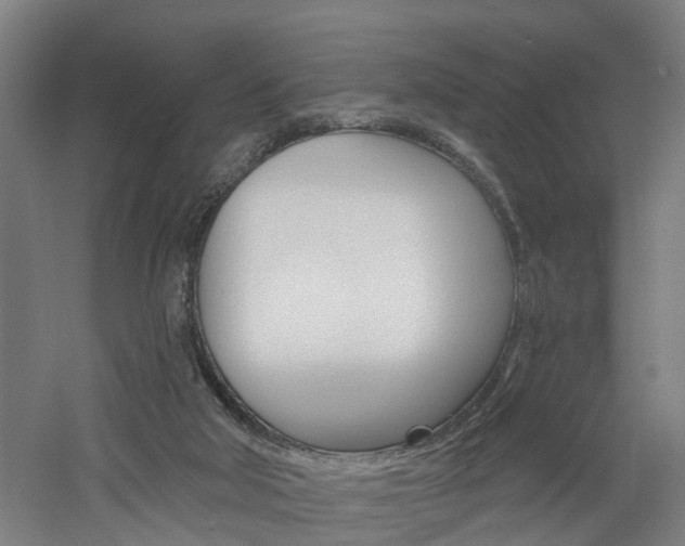 X0000060790018200511101046