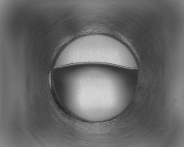 X0000060790019200511101046