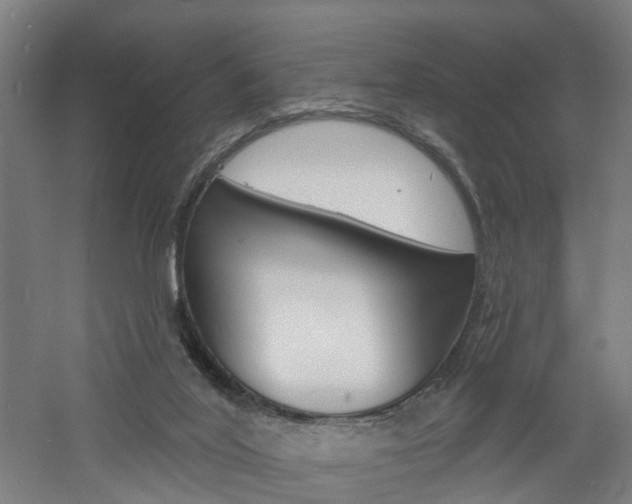 X0000060790020200511101046