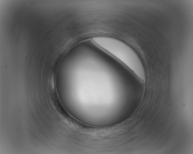 X0000060790021200511101046