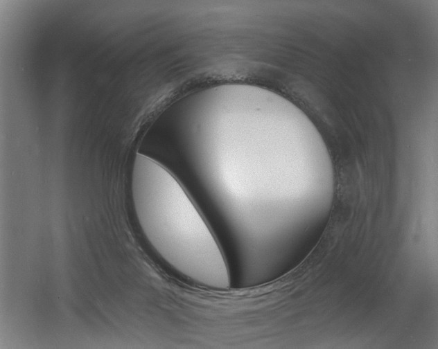 X0000060790023200511101046