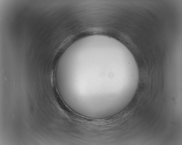 X0000060790024200511101046