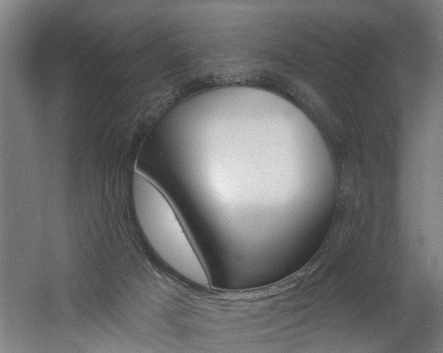 X0000060790025200511101046