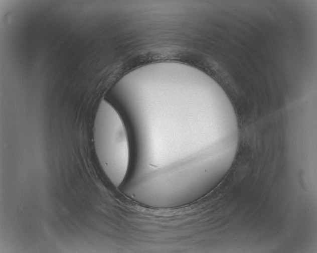 X0000060790026200511101046