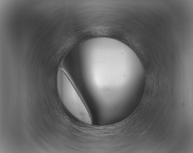 X0000060790027200511101046