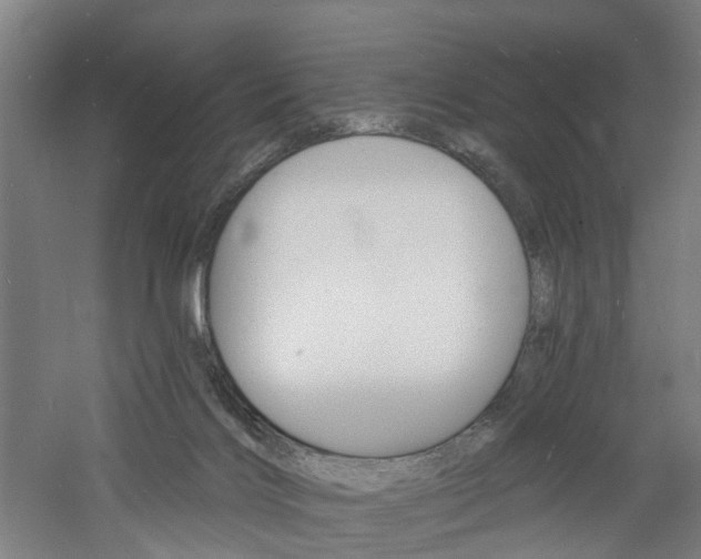 X0000060790028200511101046