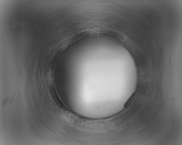 X0000060790029200511101046