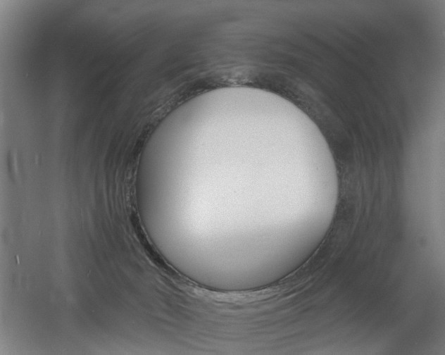 X0000060790030200511101046