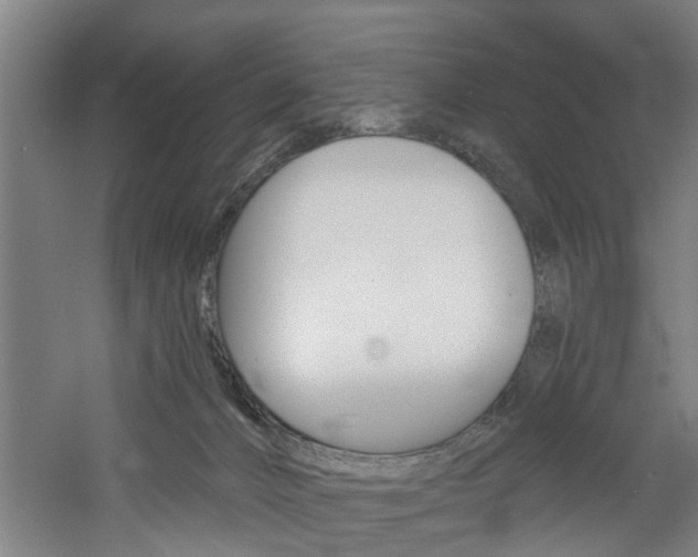 X0000060790032200511101046