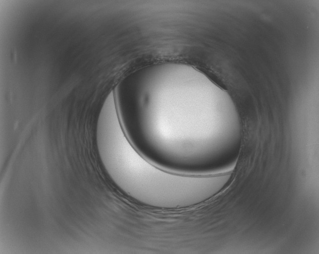 X0000060790033200511101046