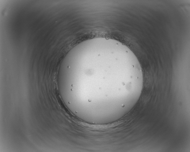 X0000060790034200511101046