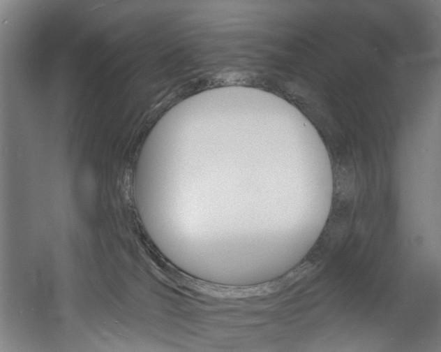 X0000060790036200511101046