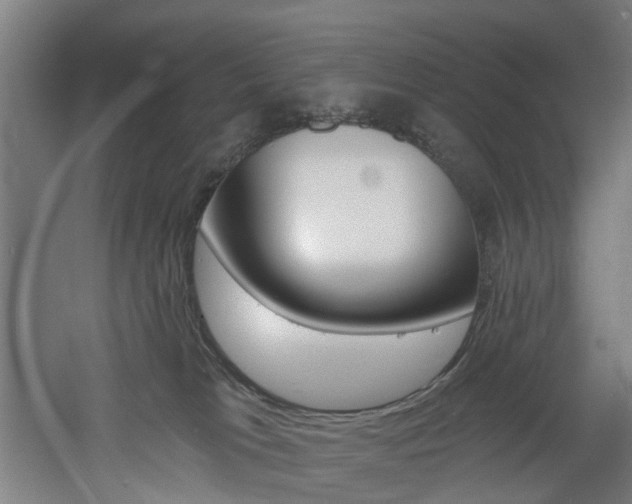 X0000060790037200511101046