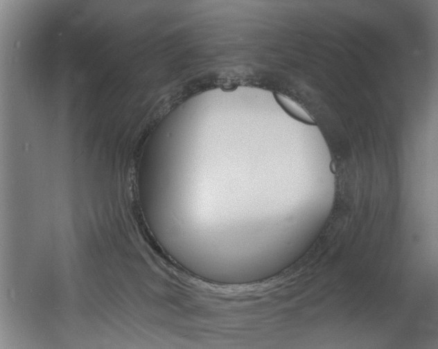 X0000060790038200511101046