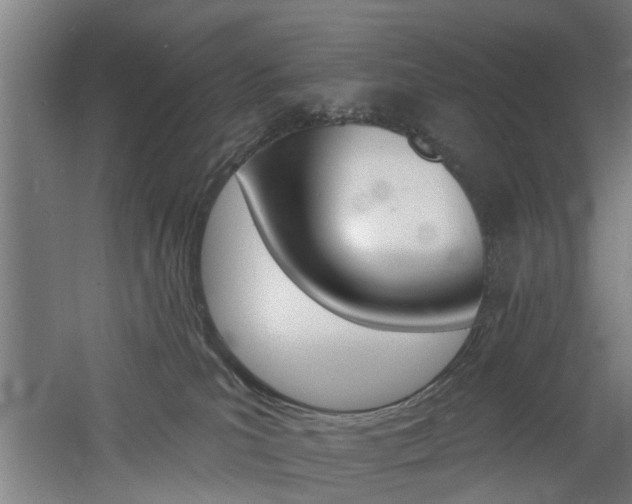 X0000060790039200511101046