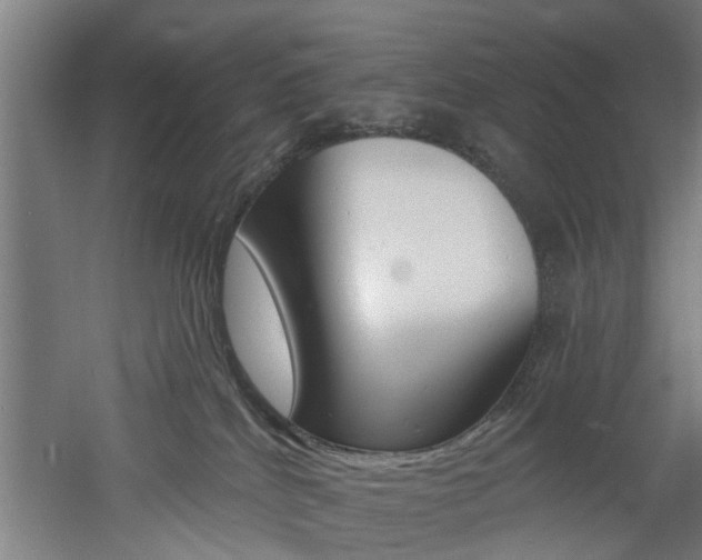 X0000060790040200511101046