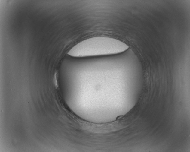 X0000060790042200511101046