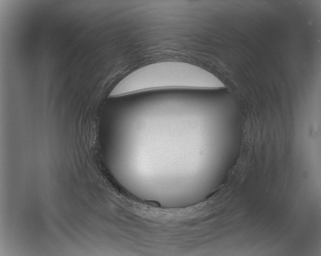 X0000060790043200511101046