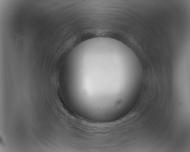 X0000060790044200511101046