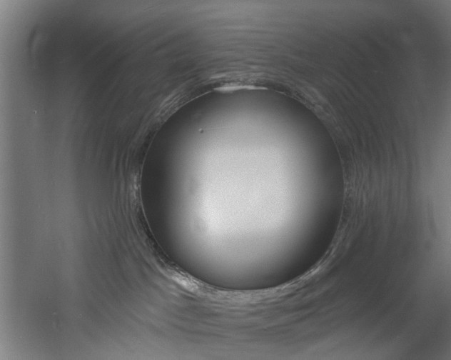 X0000060790045200511101046