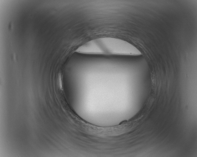 X0000060790046200511101046