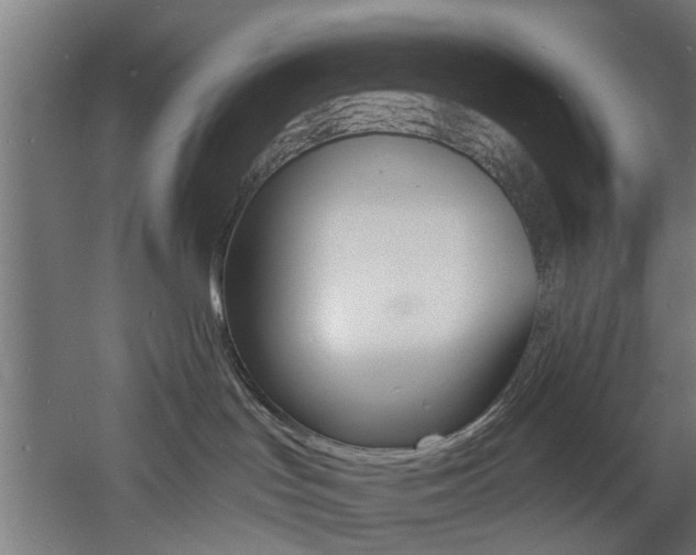 X0000060790047200511101046