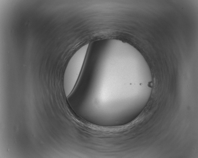 X0000060790048200511101046