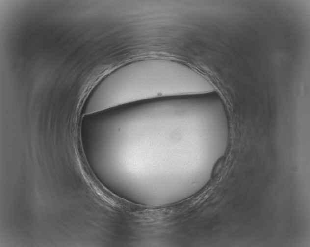 X0000060790049200511101045