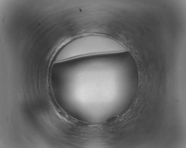 X0000060790050200511101045