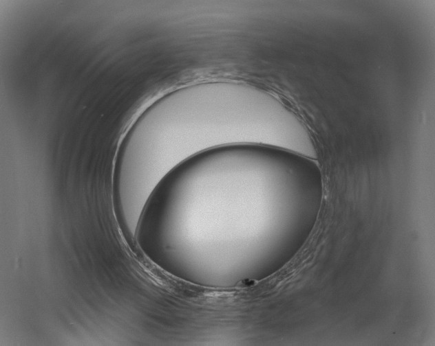 X0000060790052200511101045