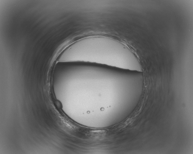 X0000060790053200511101045