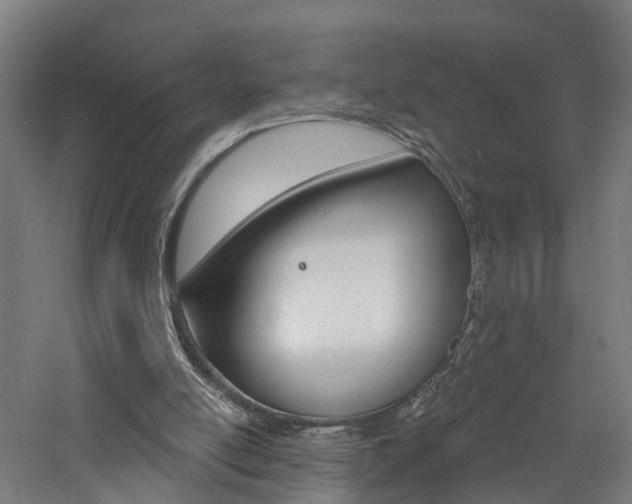 X0000060790054200511101045