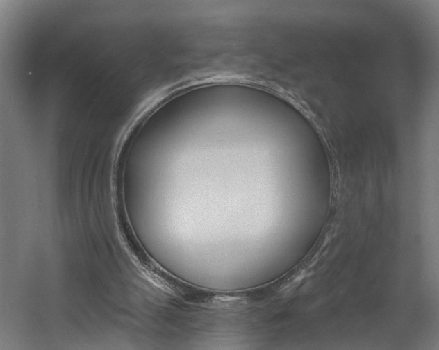 X0000060790055200511101045