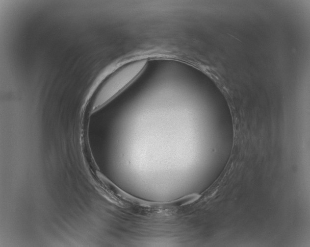 X0000060790056200511101045