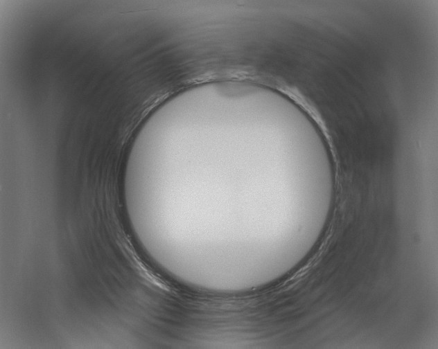 X0000060790057200511101045