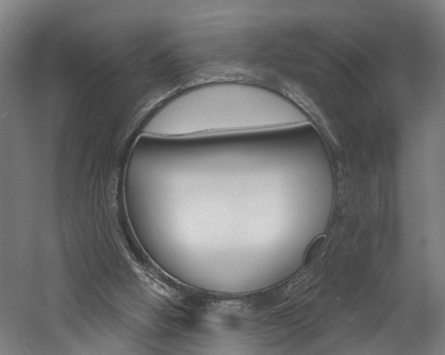 X0000060790058200511101045