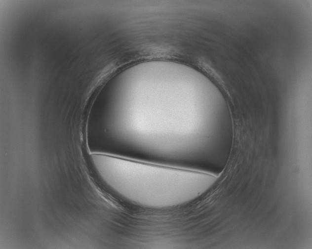 X0000060790059200511101045