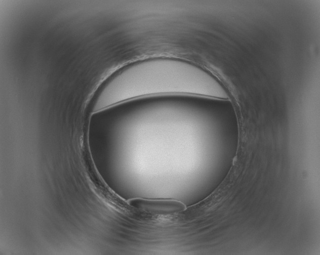 X0000060790060200511101045