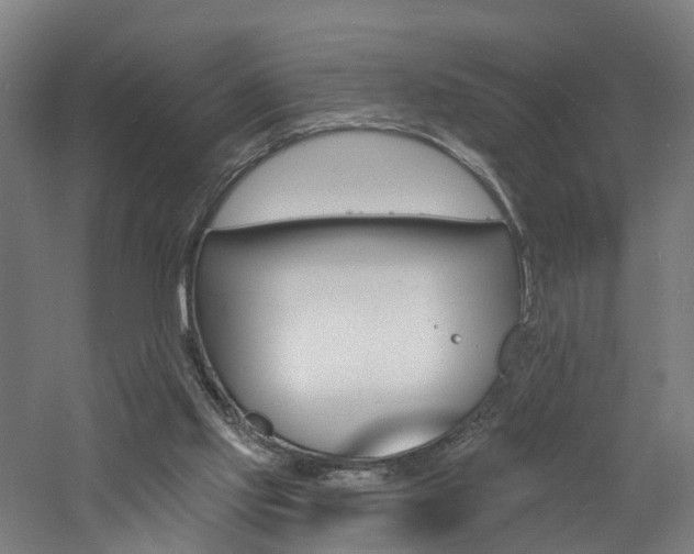 X0000060790061200511101045