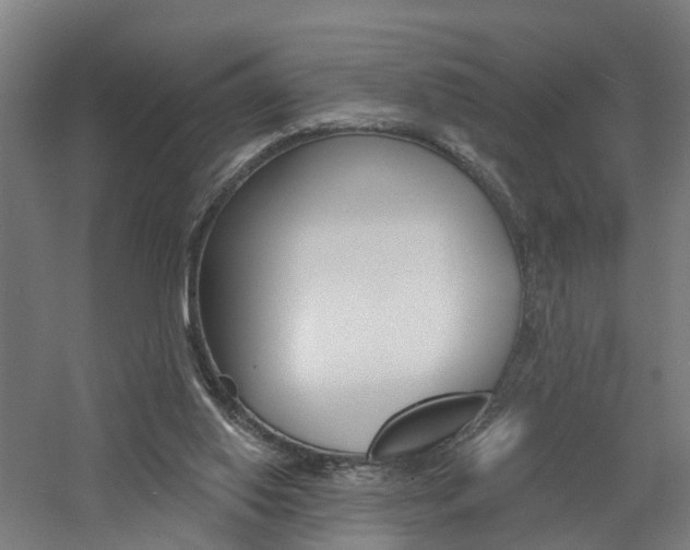 X0000060790062200511101045