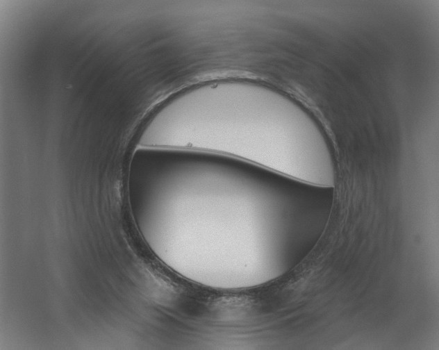 X0000060790063200511101045