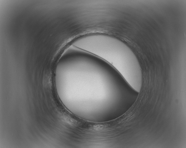 X0000060790064200511101045