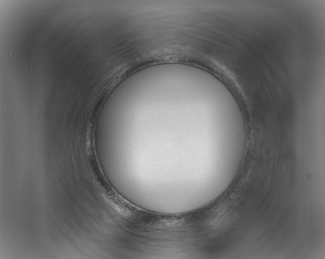 X0000060790065200511101045