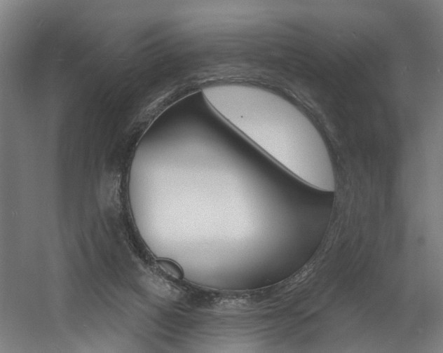 X0000060790066200511101045