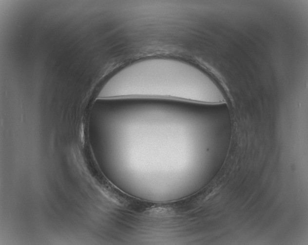 X0000060790067200511101045