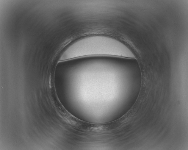 X0000060790068200511101045