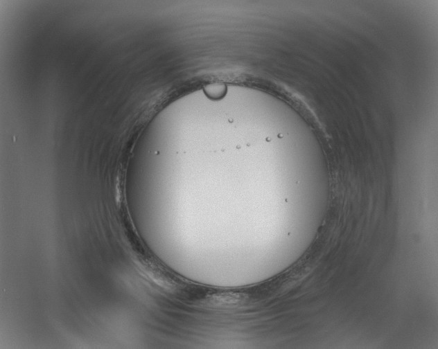 X0000060790069200511101045