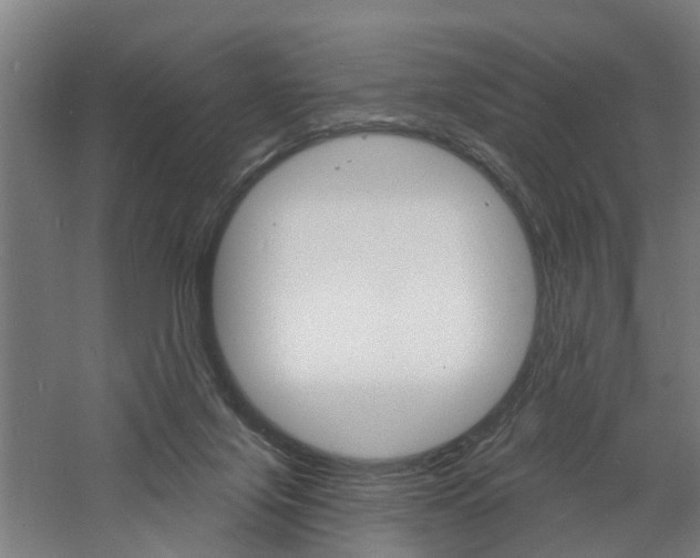 X0000060790071200511101045