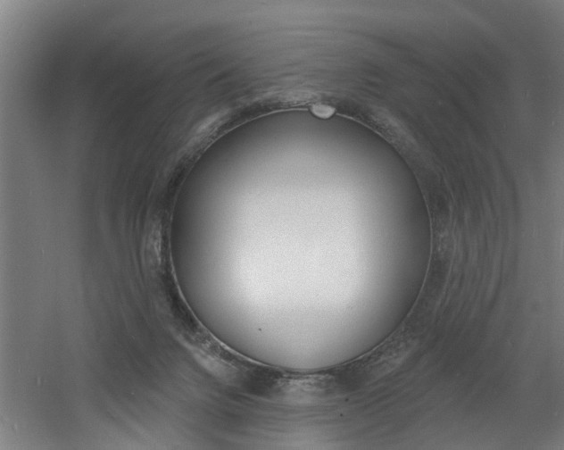 X0000060790072200511101045